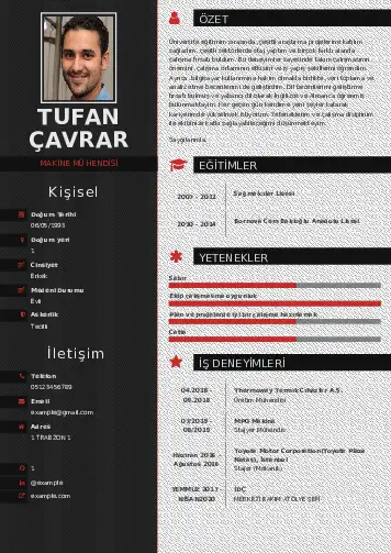 Makine Mühendisi Cv Örnekleri cv indir